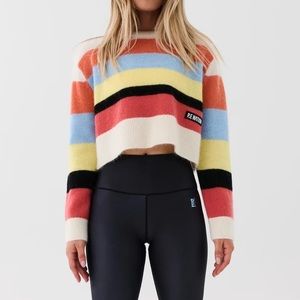 P.E Nation Nostalgia Knit Jumper in Multi